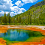 Bison Rampage—Child Hurt, Officials Go Silent Vibrant hot spring with blue water surrounded by colorful mineral deposits and trees under a cloudy sky