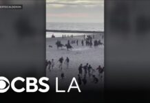 Hundreds arrested after unruly Fourth of July crowd draws massive police response in Newport Beach