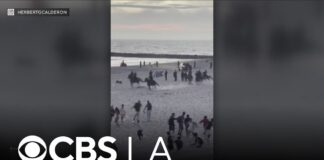 Hundreds arrested after unruly Fourth of July crowd draws massive police response in Newport Beach