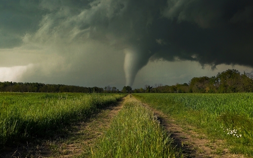 Tornado approaching through a grassy field under dark clouds.